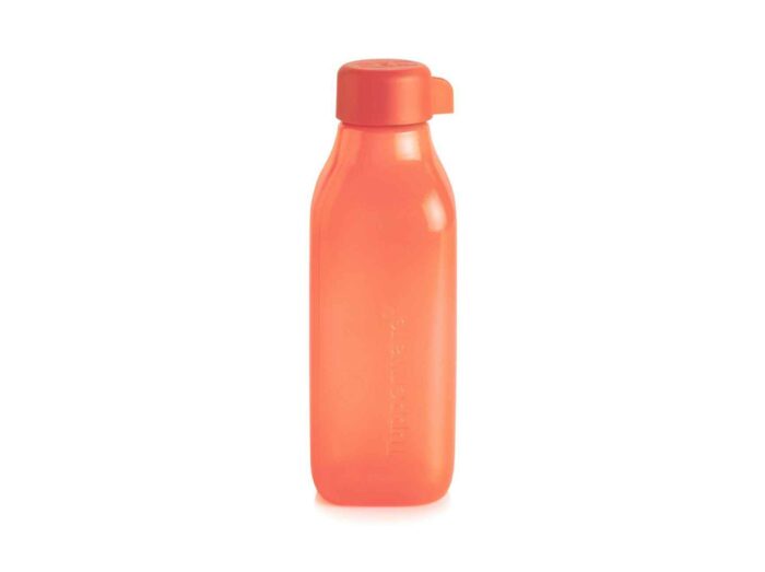 Eco Bouteille 500ml