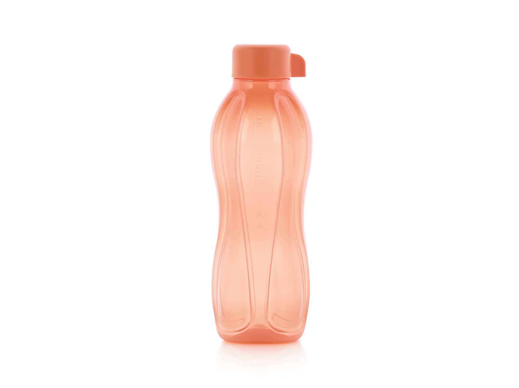 Eco Bouteille 500ml