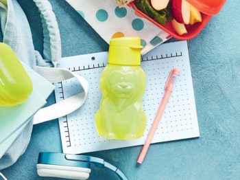 Eco Bouteille 350ml Lion Click