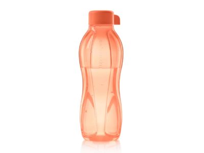 Eco Bouteille Saumon 500ml