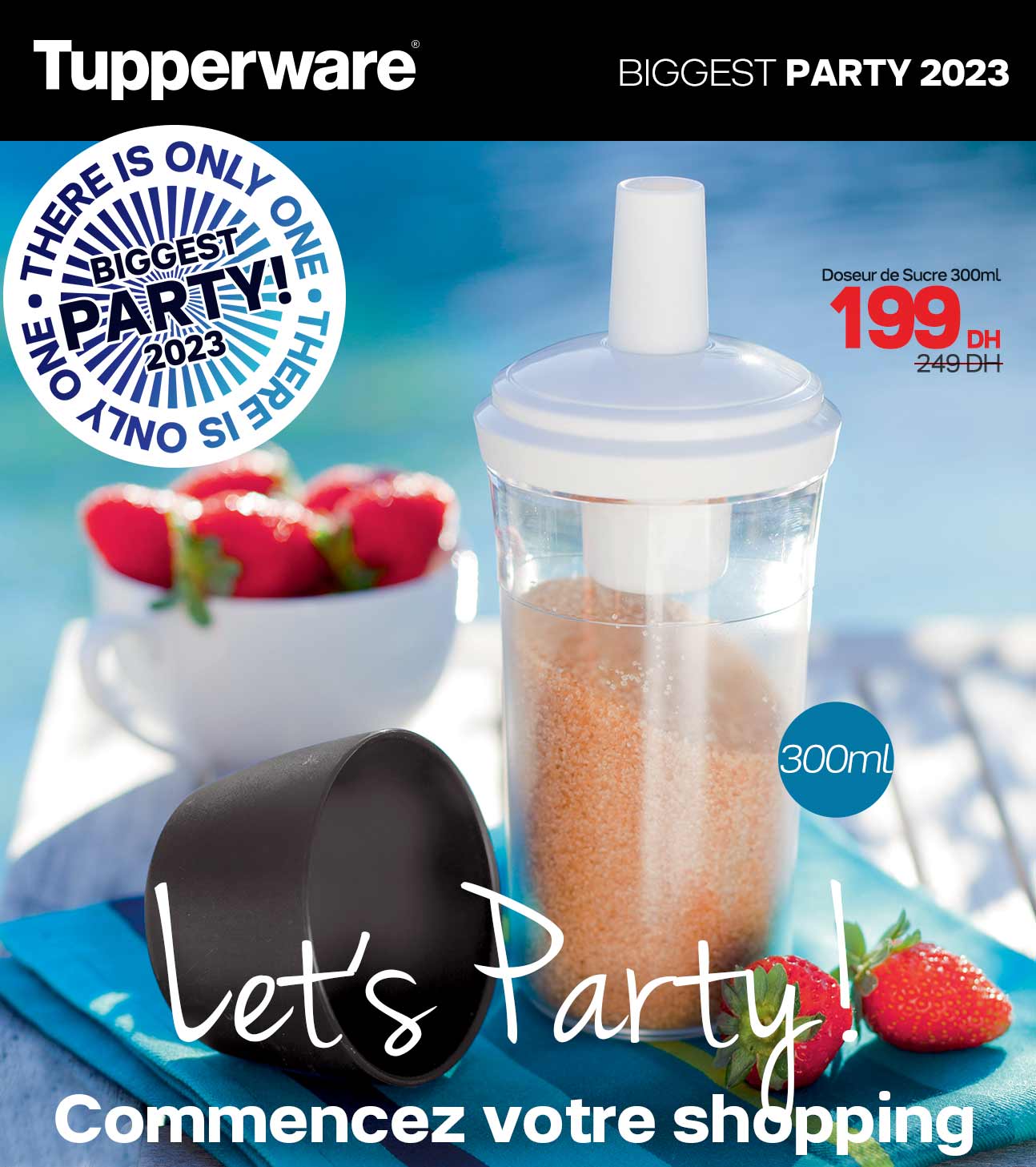 newsletter-bigparty-2