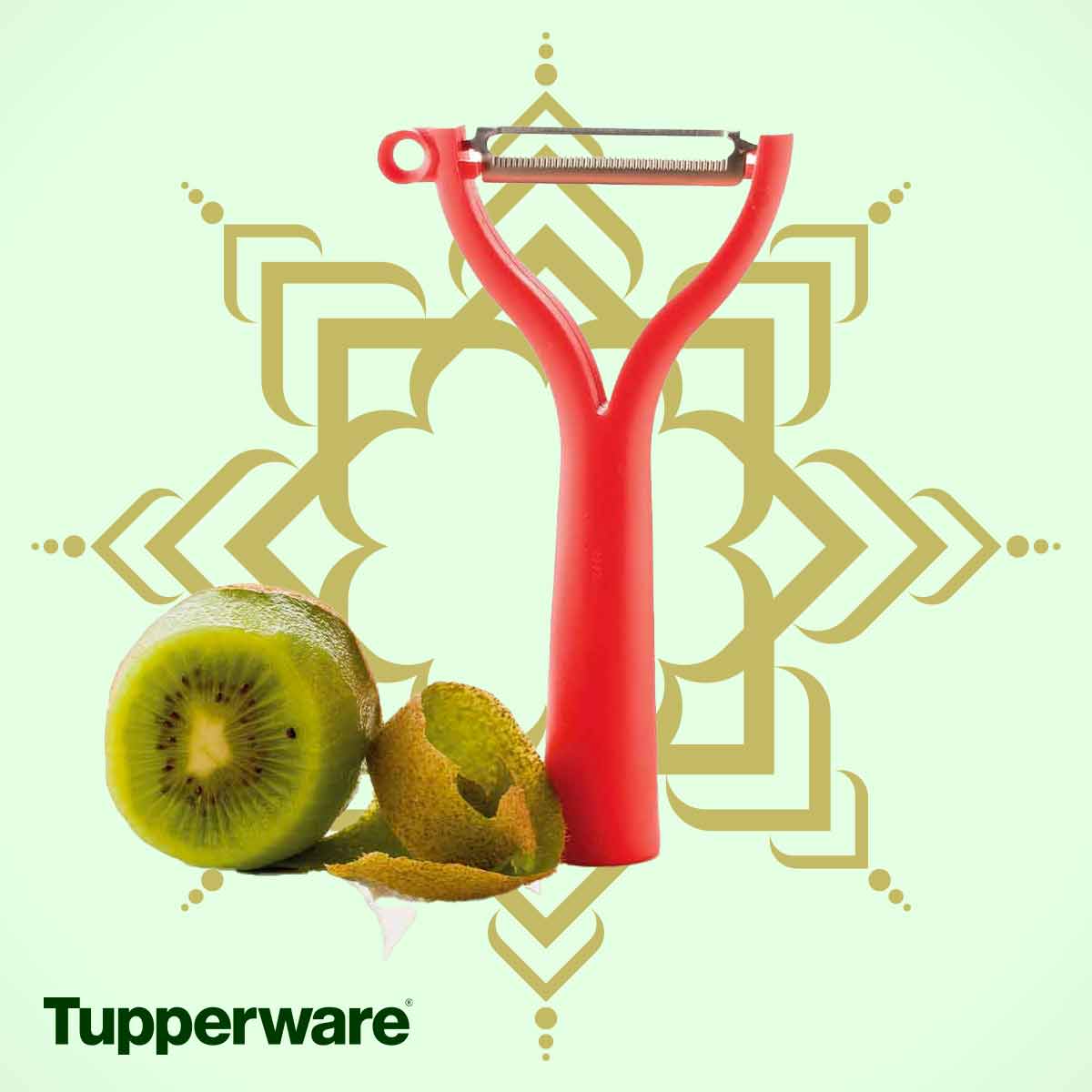 ig33 tupperware maroc 77 ans site officiel | printemps 2024 tupperware maroc