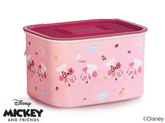 1 2 freshétanches rectangulaires “mickey” 1,3l tupperware maroc