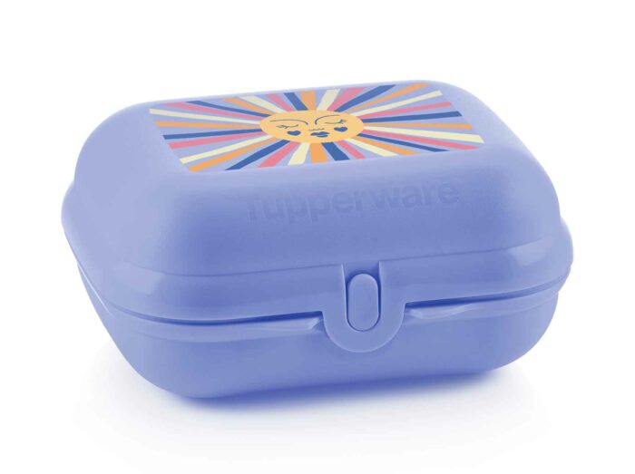 344 Boîte Papillon Large Rainbow Tupperware Maroc