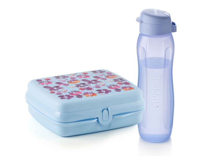 r6 001 set boîte sandwich eco+ florale + eco bouteille slim 750ml bleu tupperware maroc