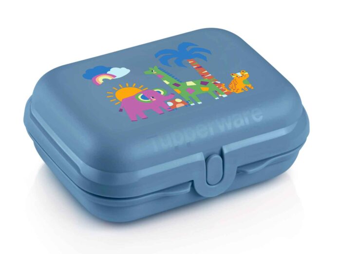 0011 Boîte Papillon Jungle Tupperware Maroc