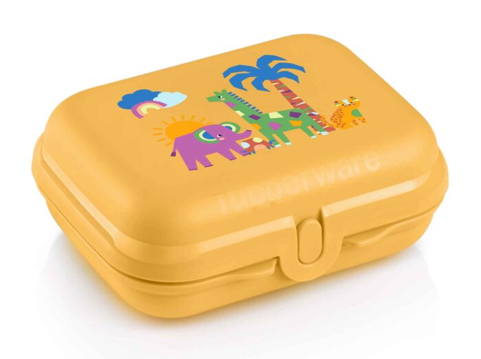 boite jungle Boîte Papillon Jungle Orange Tupperware Maroc